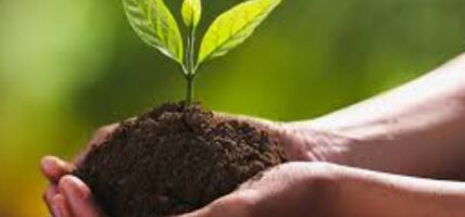 आज जैविक विविधता दिवस मनाइँदै