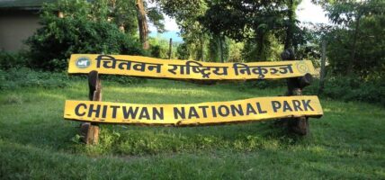 चितवन राष्ट्रिय निकुञ्जमा जंगल सफारीमा रोक