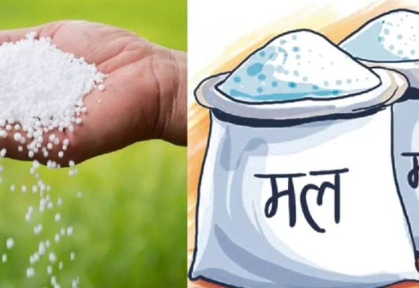सरकारको नीतिअनुसार मल बिक्री वितरण हुँदै आएको छ : साल्ट ट्रेडिङ कर्पोरेसन