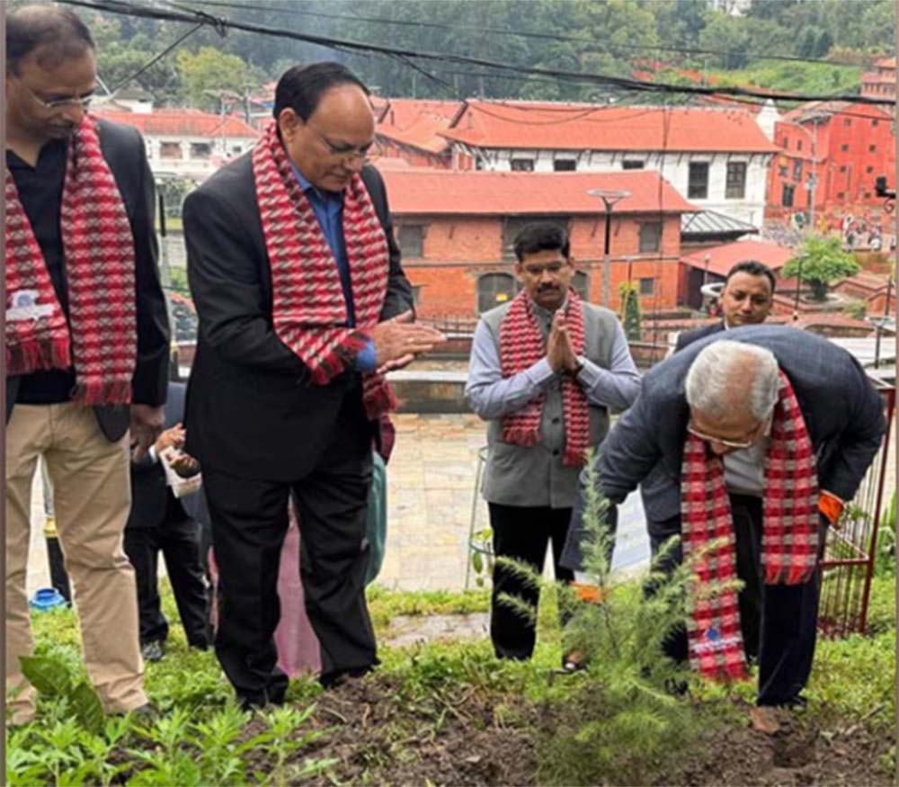 नेपाल एसबिआई बैंकद्वारा पशुपति मन्दिर परिसरमा वृक्षरोपण नेपाल एसबिआई बैंकद्वारा पशुपति मन्दिर परिसरमा वृक्षरोपण