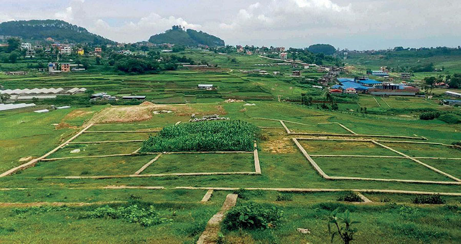 घरजग्गा कारोबार तीन वर्षयताकै उच्च विन्दुमा