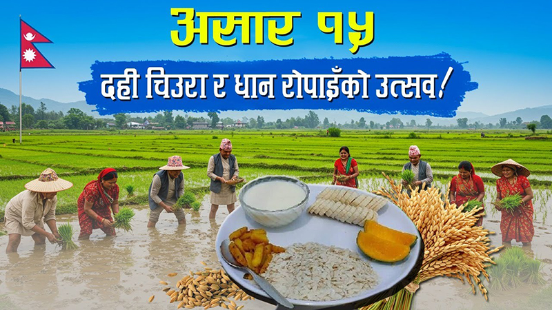 सांस्कृतिक पर्व असार १५ः धान दिवससहित दही चिउरा खाएर मनाइँदै