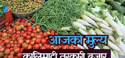 आजका लागि कृषिउपजको थोक मूल्य आजका लागि कृषिउपजको थोक मूल्य