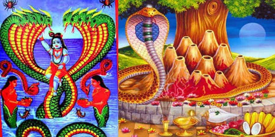 श्रावण शुक्ल पञ्चमीः नागको पूजा, आराधना गरी नागपञ्चमी पर्व मनाइँदै