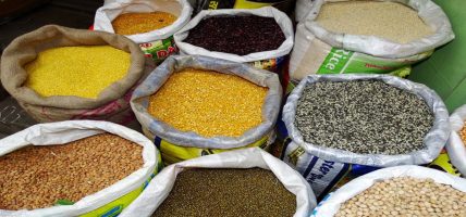 काठमाडौँ उपत्यकामा खाद्यान्न र हरियो तरकारीलगायतका दैनिक उपभोग्य वस्तुको मूल्य बढे